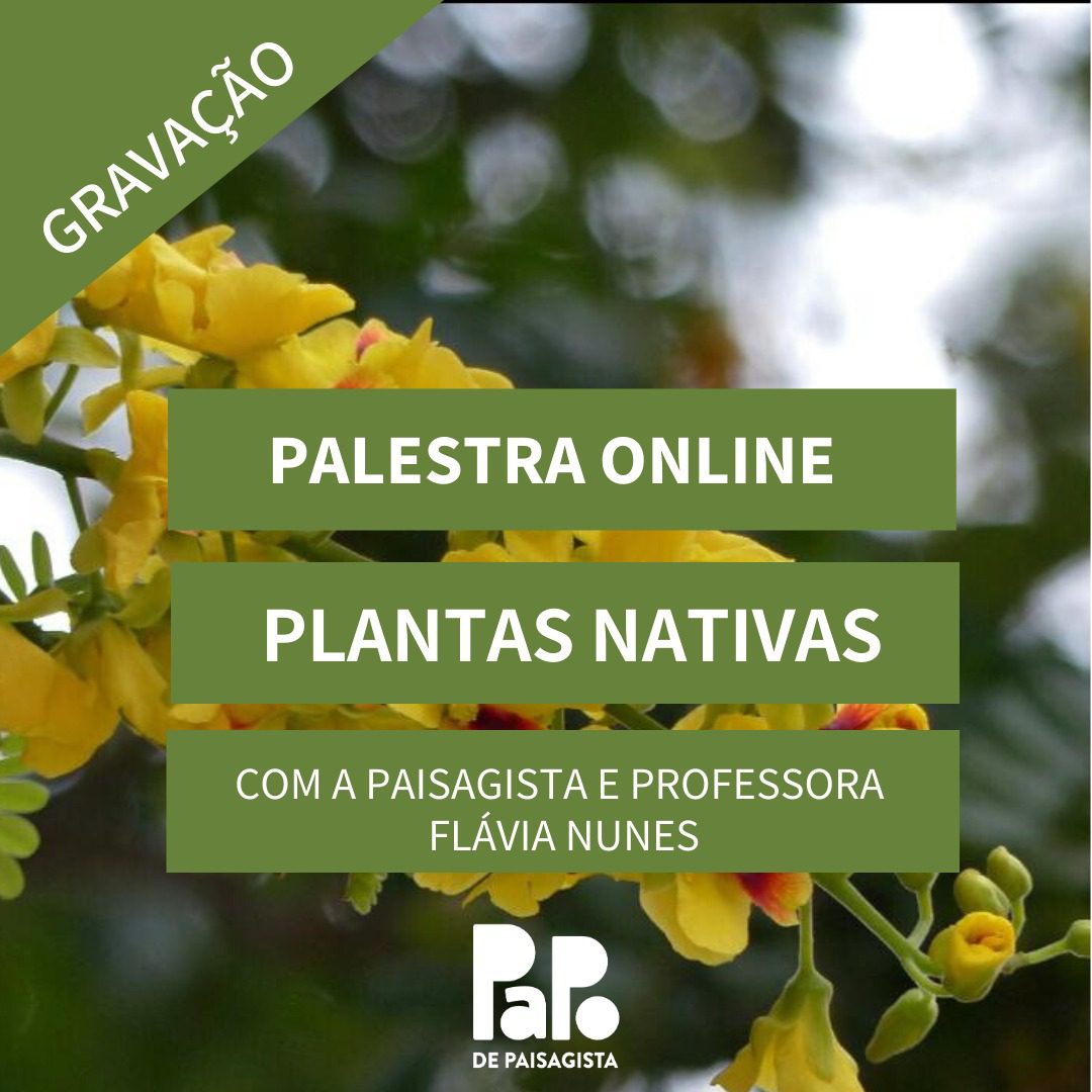 Gravação da Palestra Online - "Plantas Nativas" com Flávia Nunes