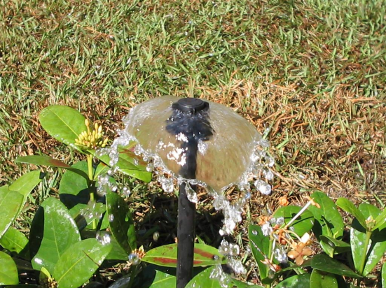 borbulhador de sombrinha