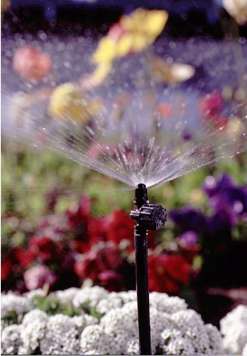 microspray irrigação