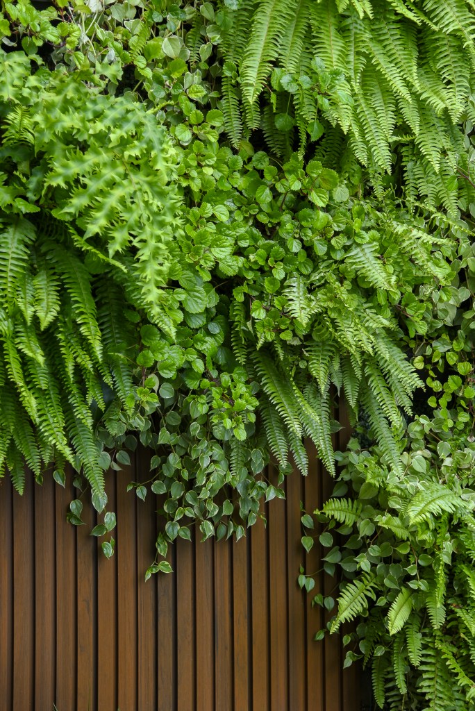 Projeto Casa Jardim Paulista - Vivi Mendonça